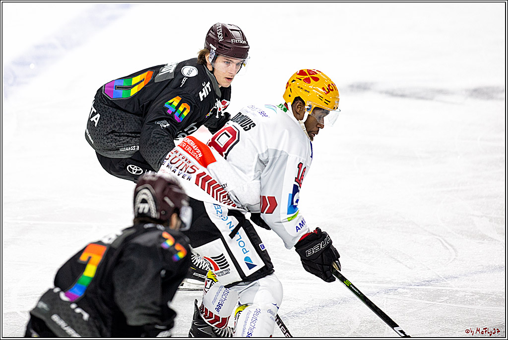 PENNY DEL;  Koelner Haie - Fischtown Pinguins Bremerhaven; Koeln, 17.01.2021